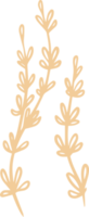ilustração de planta de tomilho para emblemas e logotipo. carimbar rótulos para tag com folhas de tomilho isoladas. mão desenhada natural em design rústico simples. png