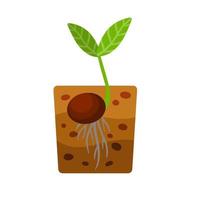 Sprout of plant. Small green leaves. Sprouted seed. Farm and gardening. Planting of crop in ground. Layer of brown earth and soil. vector