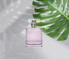 perfume bottle product advertisement, with monstera leaf background. 3d render photo