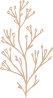 ilustración floral limonium para insignias y logotipo. etiquetas de sello para etiqueta con flor de limonium aislada. dibujado a mano natural para un simple elemento de diseño rústico. png