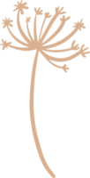 design de ilustração desenhado à mão de flor png