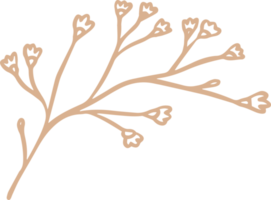 ilustração floral limonium para emblemas e logotipo. rótulos de carimbo para tag com flor de limonium isolada. mão desenhada natural para elemento de design rústico simples. png