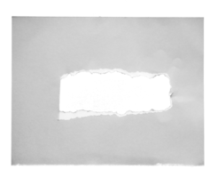 papel rasgado con los rollos rizados lados rasgados. un largo agujero negro desgarrado en el papel blanco. papel rasgado realista con los bordes rasgados para copiar espacio y texto. png