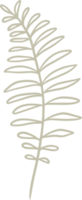 et of Minimalist stamp labels for tag with isolated fern leaves. Collection of hand drawn natural sign for simple rustic design. png