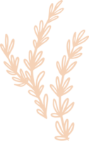 ilustración de la planta de tomillo para insignias y logotipo. etiquetas de sello para etiqueta con hojas de tomillo aisladas. natural dibujado a mano en un diseño rústico simple. png