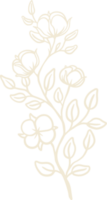 illustrazione della pianta di cotone biologico e modello di logo dei distintivi. etichette di francobolli vintage per tag con fiore di cotone isolato. collezione di segni naturali disegnati a mano ed elementi di design rustico. png