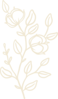 Bio-Baumwollpflanzen-Illustration und Abzeichen-Logo-Vorlage. vintage stempeletiketten für tag mit isolierter baumwollblume. sammlung von handgezeichneten natürlichen zeichen und rustikalen gestaltungselementen. png