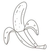 Banana in doodle uncovered vector