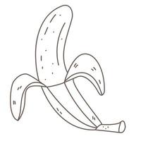 Banana in doodle uncovered vector