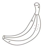 Banana in doodle vector