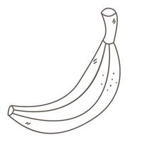 Banana in doodle vector