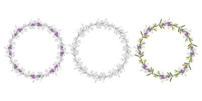 Wreath hand drawing round frame Rosemary sprigs. Set of floral wreaths with leaves, branches. Decorative elements for design. Dudling outline silhouette. Vector illustration