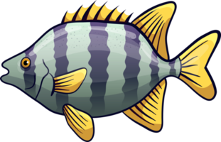 Fish drawing clipart design illustration png