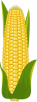 Ilustración de diseño de imágenes prediseñadas de maíz png