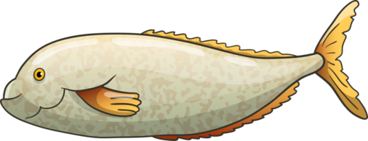 Fish drawing clipart design illustration png