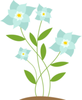 illustrazione di progettazione di clipart di fiori png