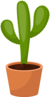 cactus clipart ontwerp illustratie png