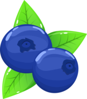 Blueberry clipart design illustration png