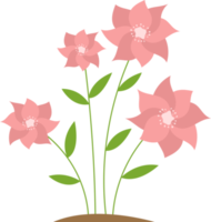 bloemen clipart ontwerp illustratie png