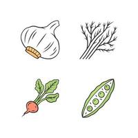 Vegetables color icons set. Garlic, dill, beet, pea. Vitamin. Diet. Healthy nutrition ingredient. Agriculture plant. Vegetable farm. Vegetarian food. Isolated vector illustrations