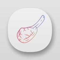 Tomahawk steak app icon. Butchers meat. Meat production and sale. Beefsteak. Pork rib. Protein source. Butchery business. UI UX user interface. Web, mobile applications. Vector isolated illustrations