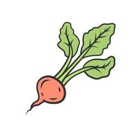 icono de color de rábano. planta de agricultura. alimentos orgánicos. granja de hortalizas. comida vegana y vegetariana. nutrición saludable. dieta. vitamina. ingrediente de ensalada. ilustración vectorial aislada vector