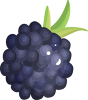 Blackberry berry blue with leaves. png