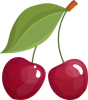 Cherry red on a branch. png