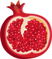 Half of a red pomegranate. png