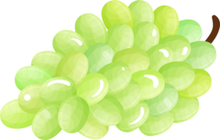 una rama de uvas verdes. png
