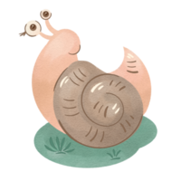 Snail illustration in cartoon style png