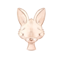 Hand drawn bunny png