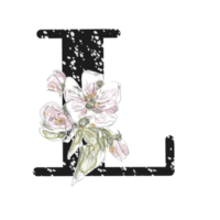 illustration de lettres décorées d'un bouquet de pivoines png