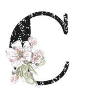 illustration de lettres décorées d'un bouquet de pivoines png