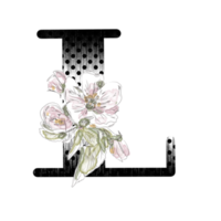 Illustration of letters decorated with a bouquet of peonies png