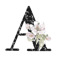 Illustration of letters decorated with a bouquet of peonies png