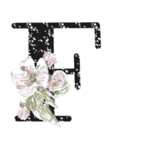 llustration of letters decorated with a bouquet of peonies png