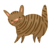 Hand drawn cat in cartoon style png