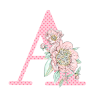 illustration de lettres décorées d'un bouquet de pivoines png