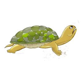 surprised and dissatisfied turtle raises its head png