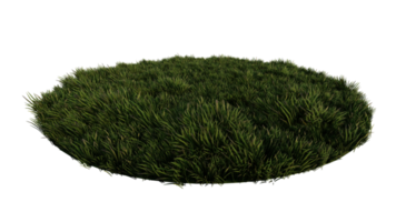 3ds rendering image of  grasses field. png