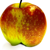 beautiful red apple without background for design png