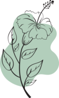 fleur florale dessinée à la main avec une forme libre organique, illustration botanique abstraite png