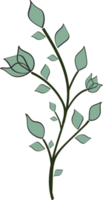 fleur florale et feuilles dessinées à la main, illustration botanique abstraite png