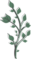 blumen und blätter handgezeichnet, abstrakte botanische illustration png