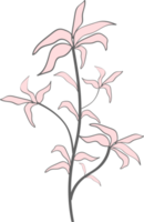 blumen und blätter handgezeichnet, abstrakte botanische illustration png