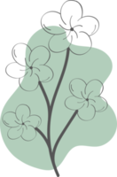 bloemen bloem hand getekend met organische vrije vorm, abstracte botanische illustratie png