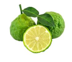 Beautiful bergamot isolated on white background. photo