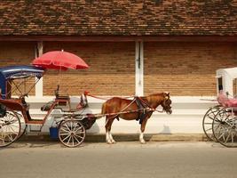 Horse carriages and old brick wall of in lampang city, thailand. photo