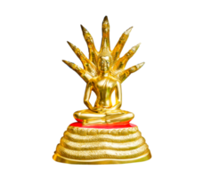 Buda dourado em fundo branco isolado